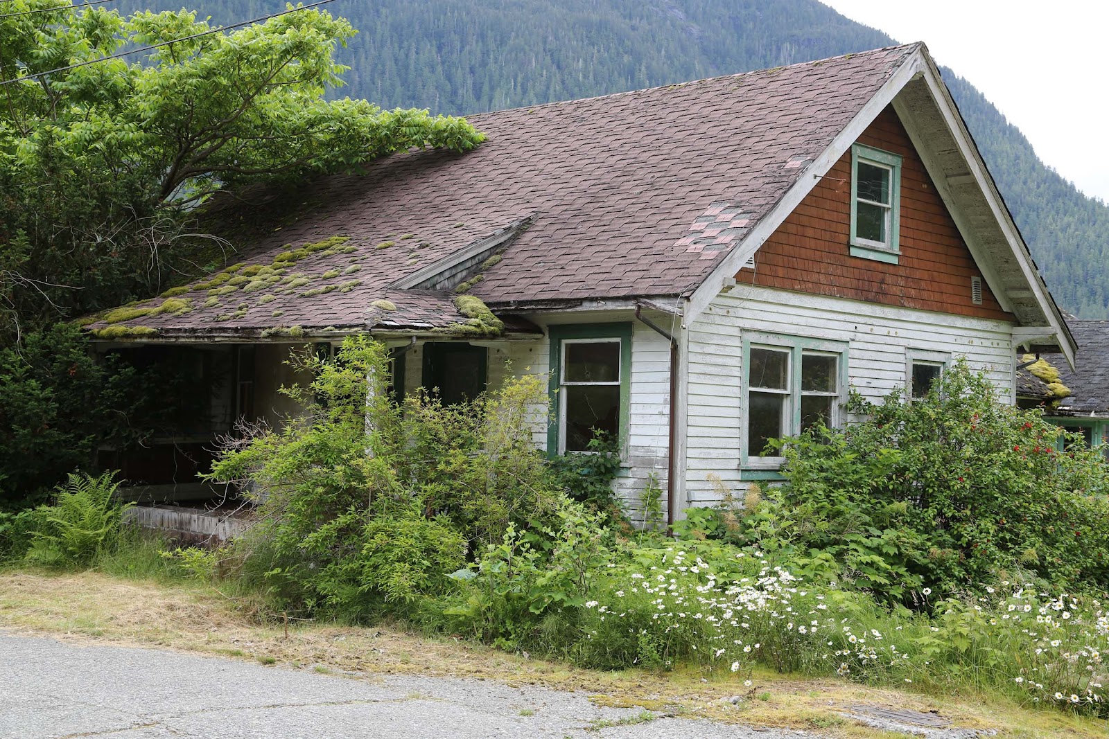 Nautilus Adventures Ocean Falls