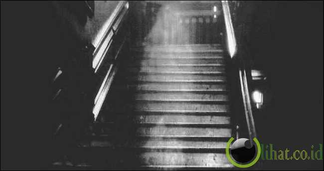 The Brown Lady The Brown Lady