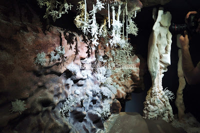 Cueva del Castañar