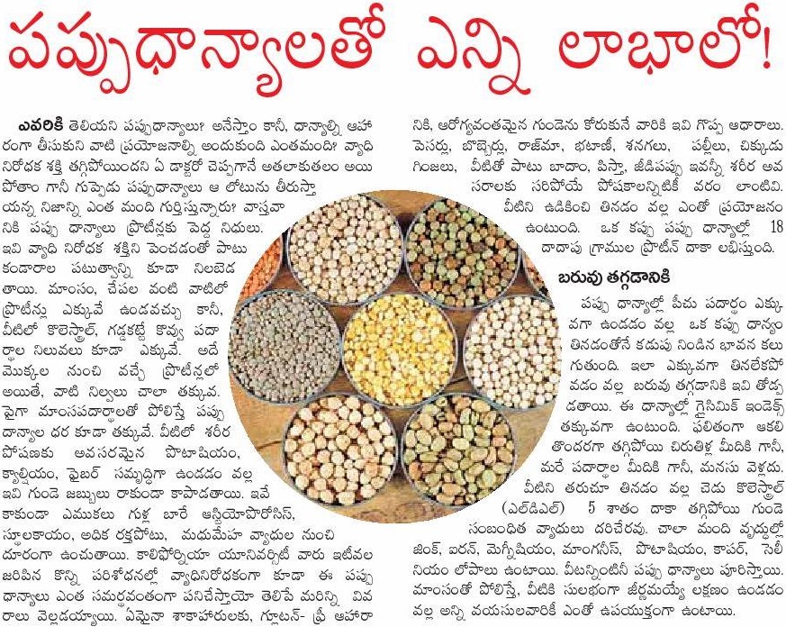 Pulses Names /pulses Names In English And Telugu, Dal Name, 42 OFF