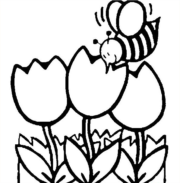 Dibujos para Colorear y Pintar Gratis