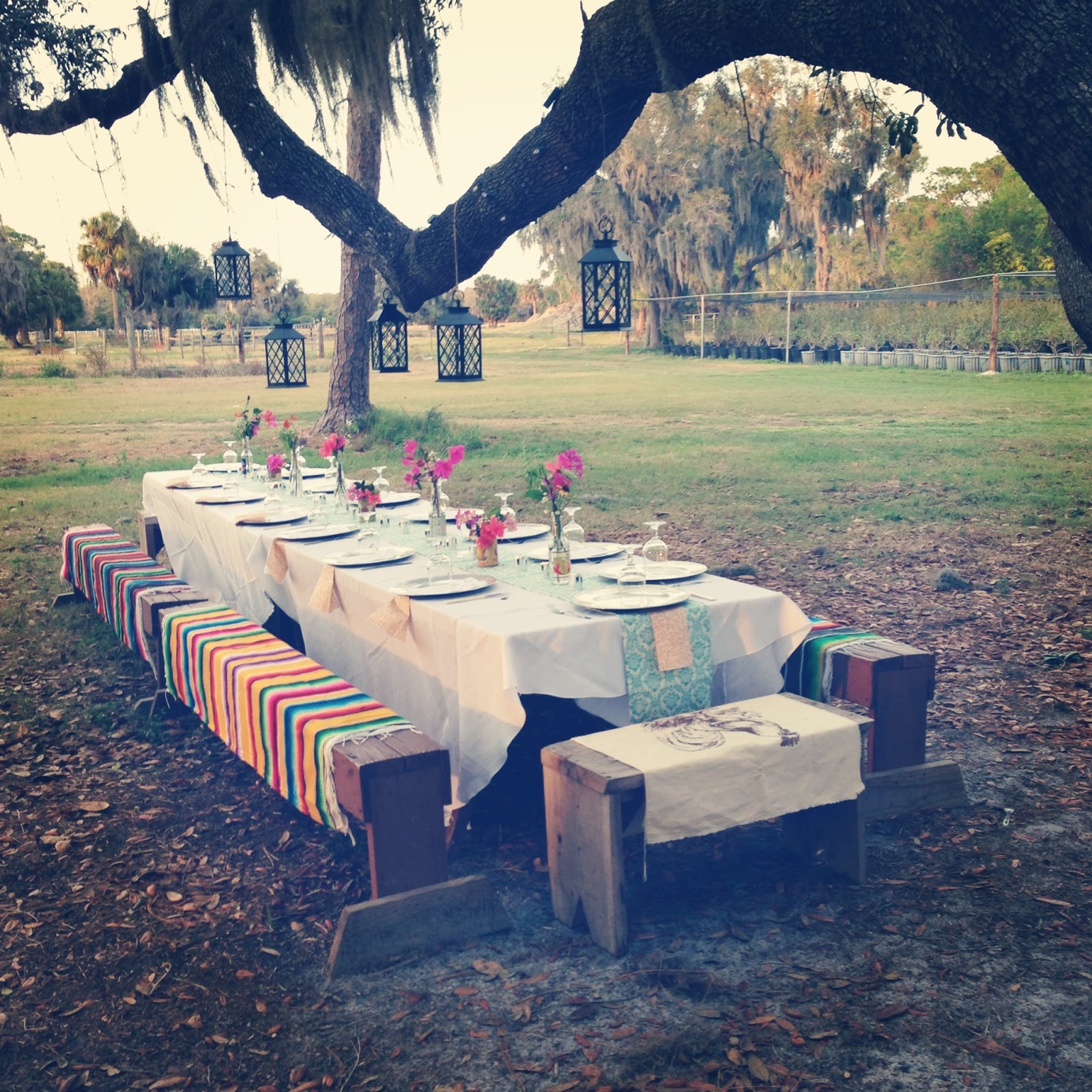 pink o'clock: Farm to table dinners at King Family Farm.