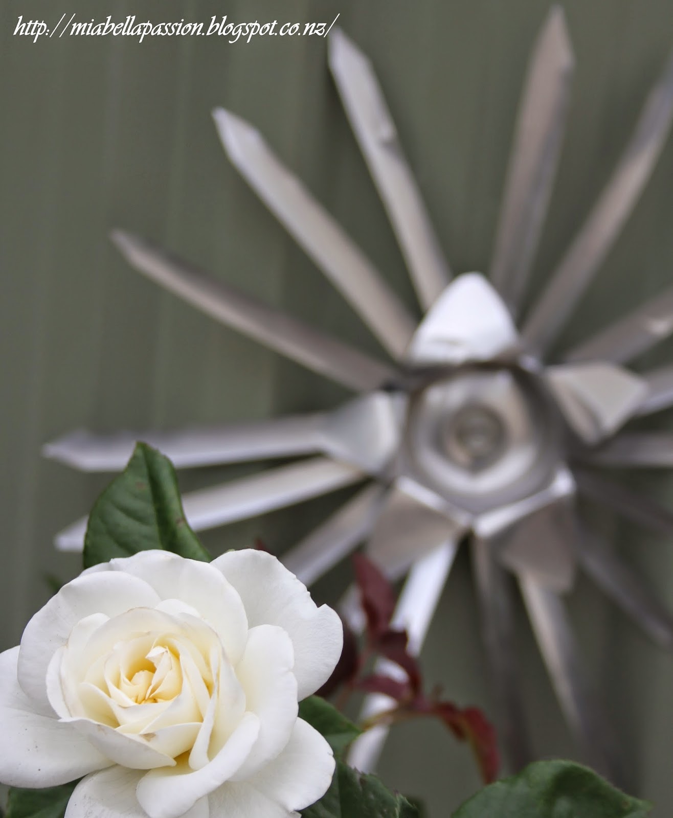 Mia Bella Passions DIY Starburst can flowers...