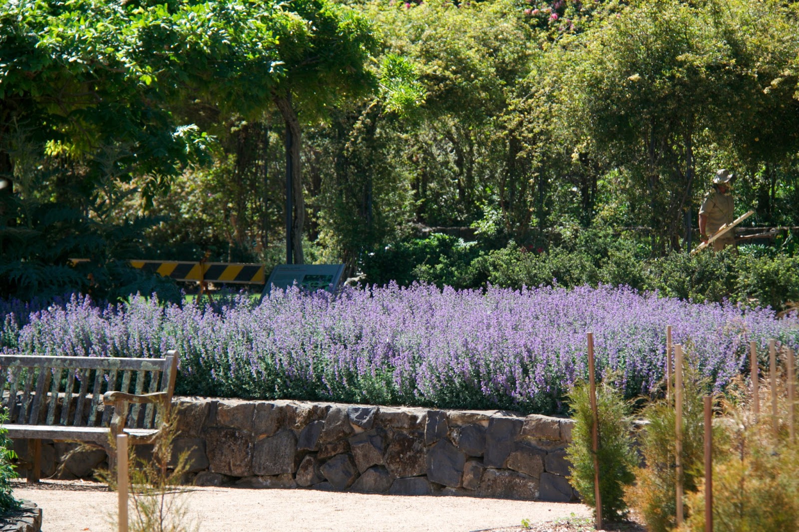 EATspeak Mount Tomah Botanical Gardens