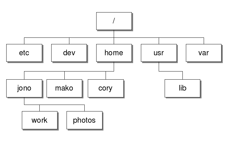 find file in all directories linux find file in all directories linux