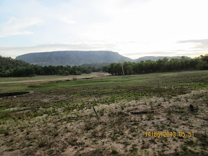 The "TALA ZONE" as seen from "Magdhi Zone" of Bandhavgarh national park.