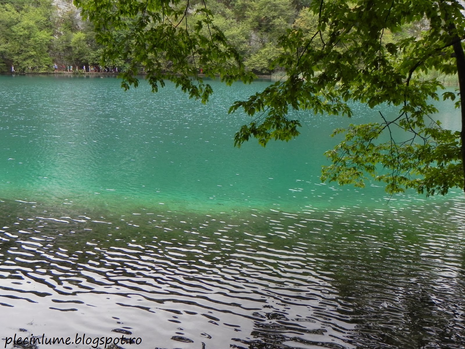Pe malul lacurilor Plitvice Pe malul lacurilor Plitvice