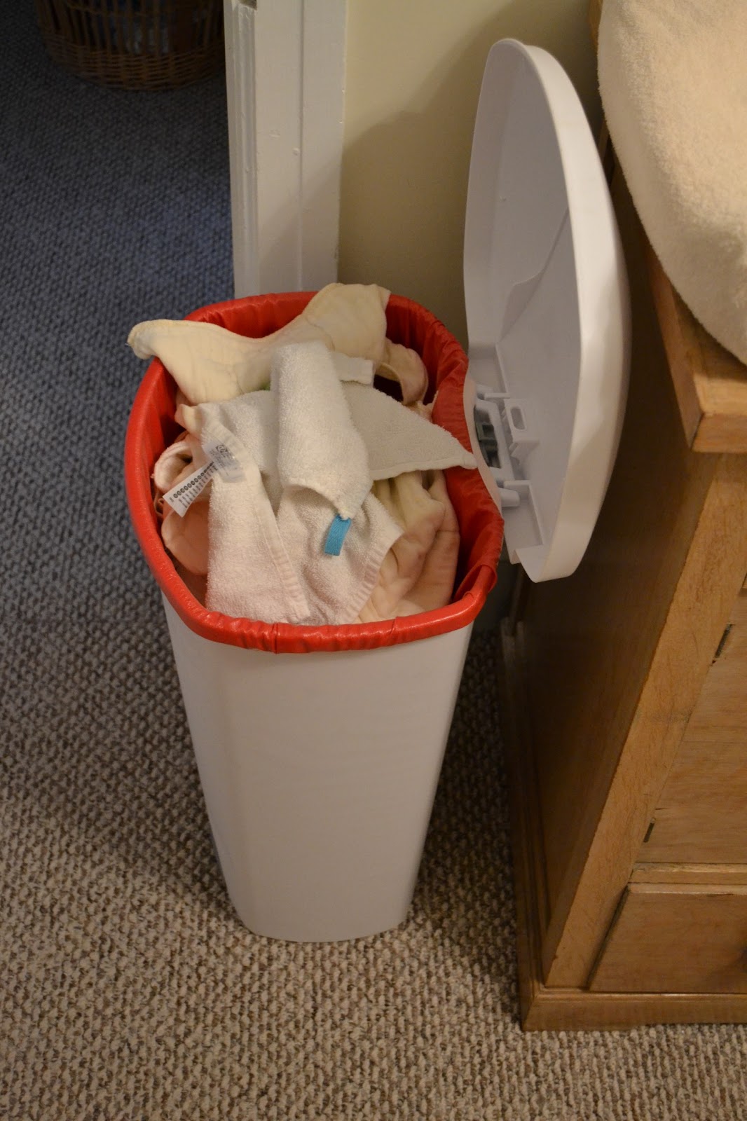 6 Must Have Cloth Diaper Accessories that You REALLY Need Lil Bums