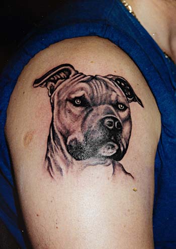 Dog Tattoo Designs