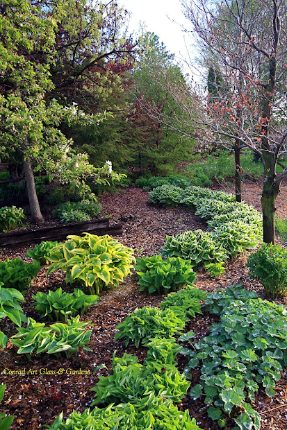 conrad art glass & gardens