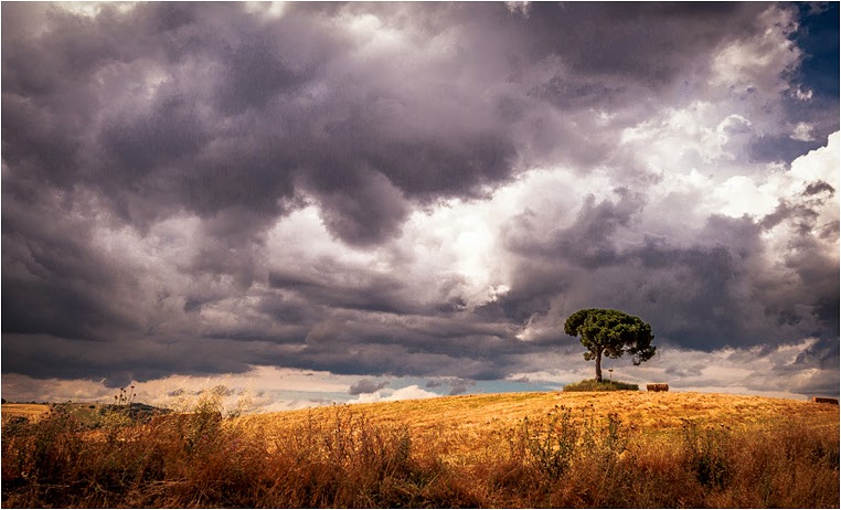 Compact Camera, Best Photo of the Day in Emphoka by MoiseM, Canon PowerShot G15, https://flic.kr/p/gDm59d Compact Camera, Best Photo of the Day in Emphoka by MoiseM, Canon PowerShot G15, https://flic.kr/p/gDm59d
