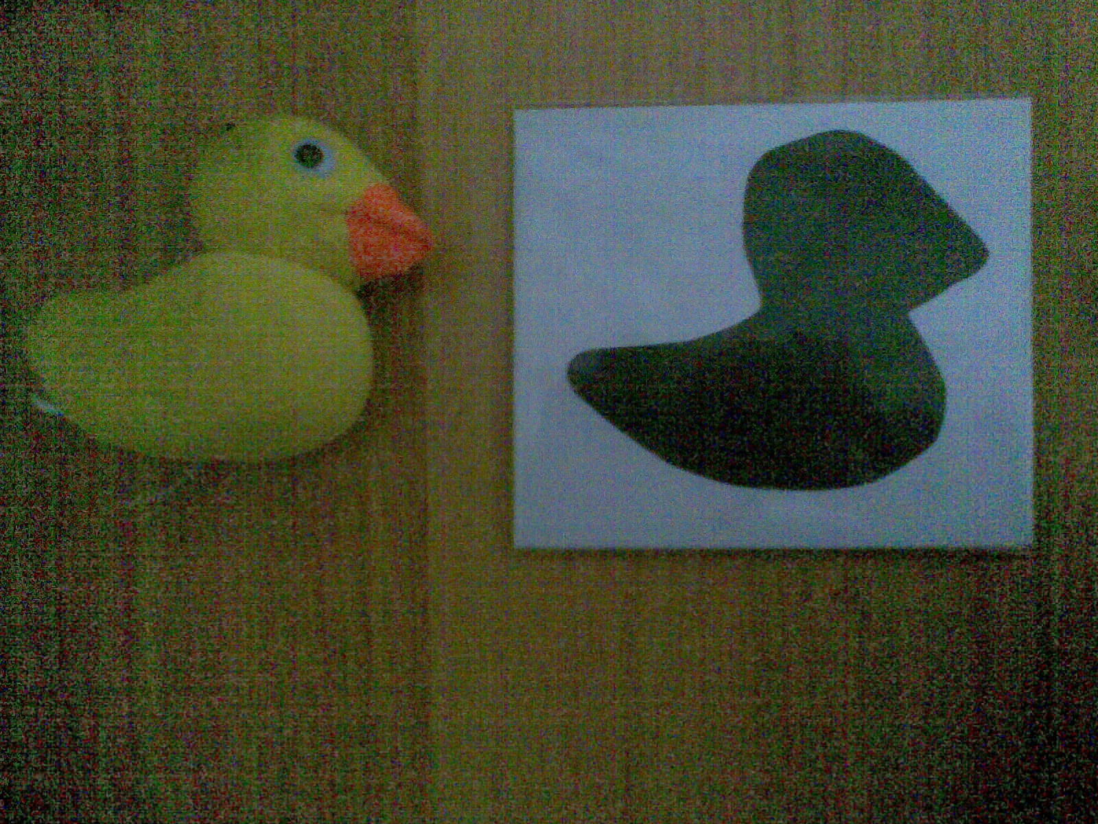 mehmet akif ersoy universitesi okul oncesi ogretmenligi nesne golge eslestirmesi