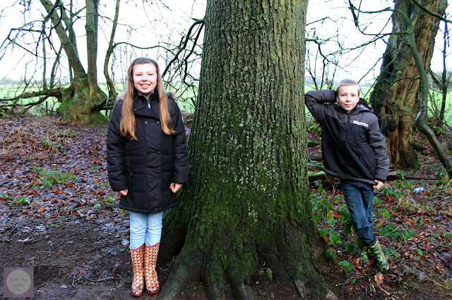 Brother and sister in woodland setting