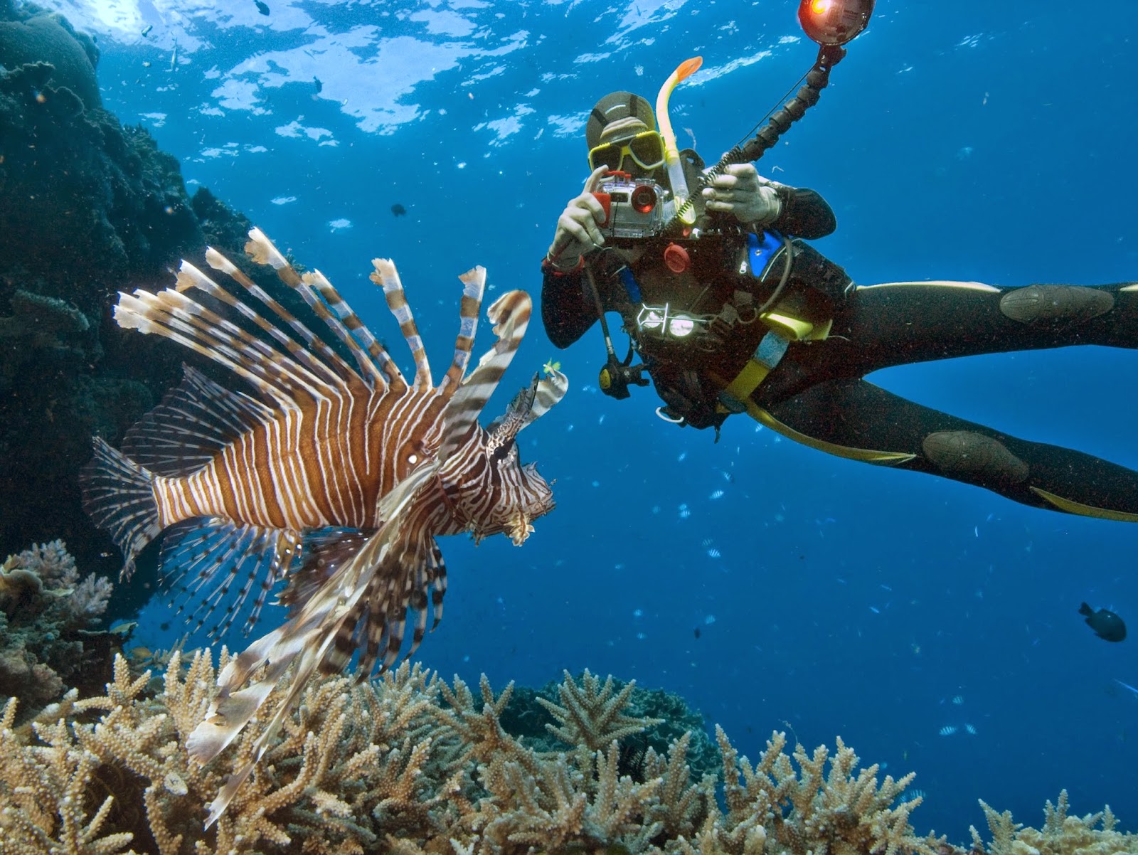 GiveExtreme Give Extreme wants to introduce some more action into your