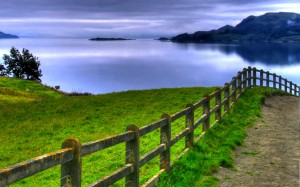 Un camino, un paisaje