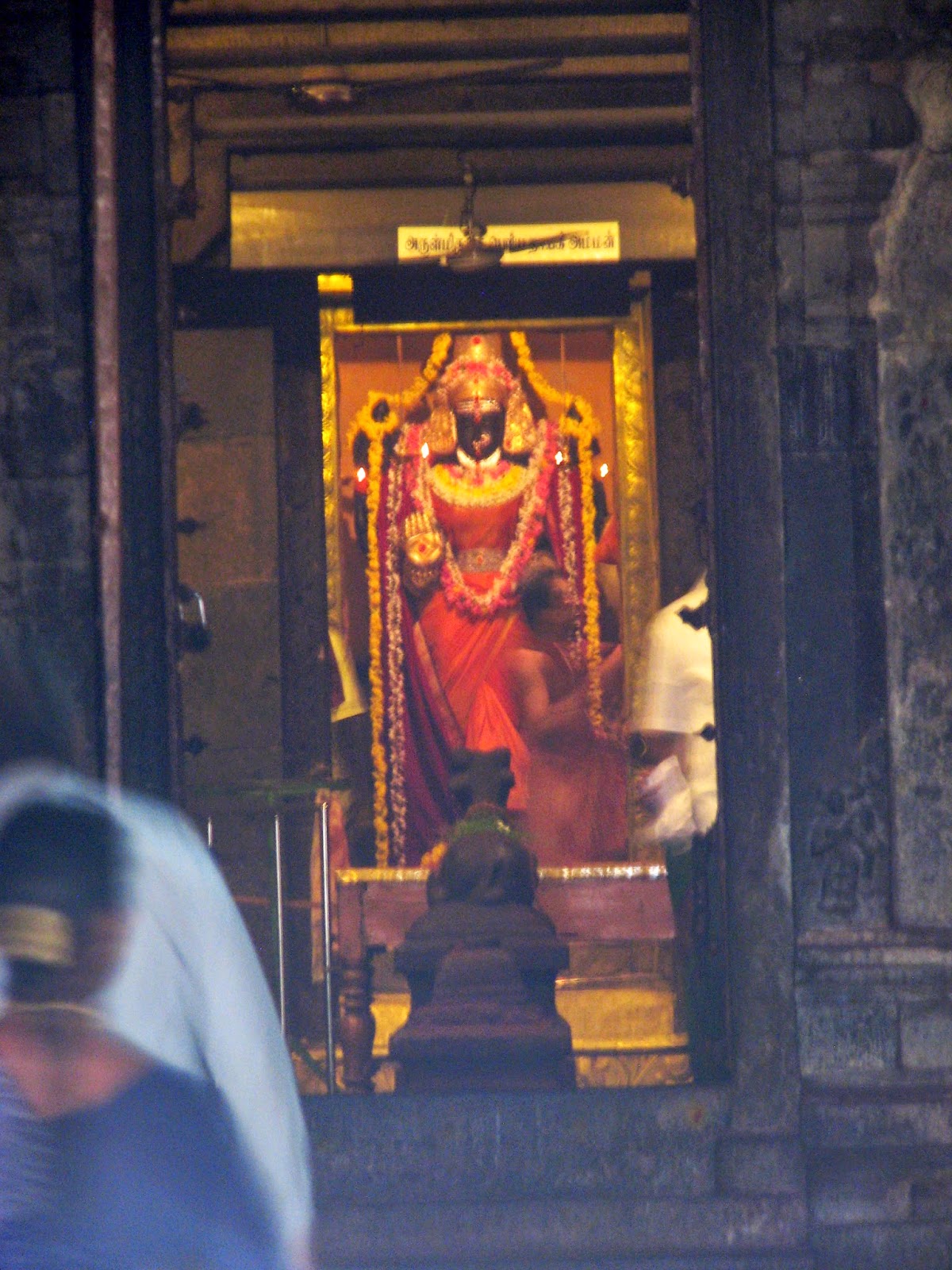 thillai kali amman photos thillai kali amman photos