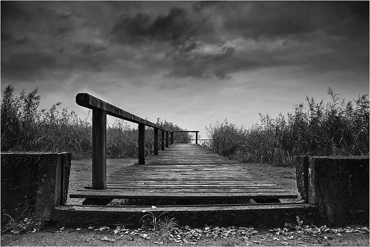 Emerging Photographers, Best Photo of the Day in Emphoka by Barbara Beiser Emerging Photographers, Best Photo of the Day in Emphoka by Barbara Beiser