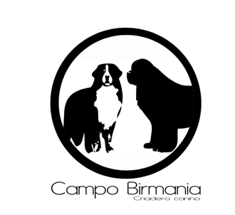 CAMPO BIRMANIA
