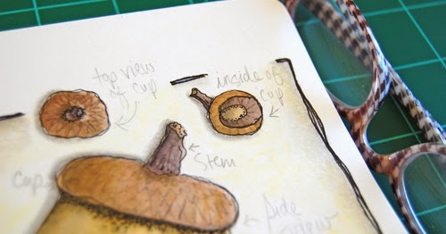 elvie studio: anatomy of an acorn