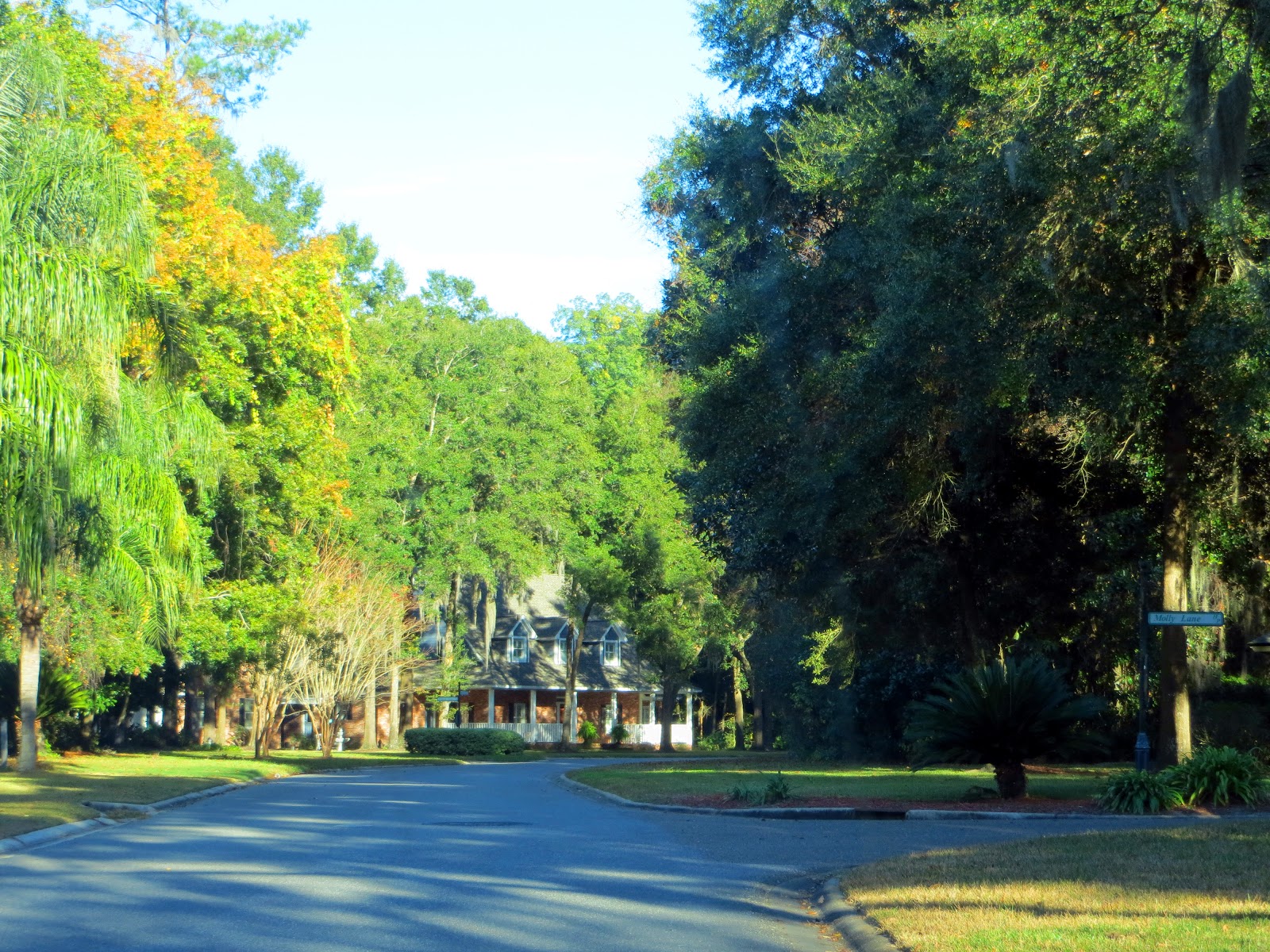 The Daily Rant A Visit To The Island Plantation of Hibernia