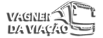 Vagner Da Viação