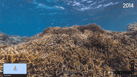 Ein GIF zeigt die Veränderung an einem Korallenriff