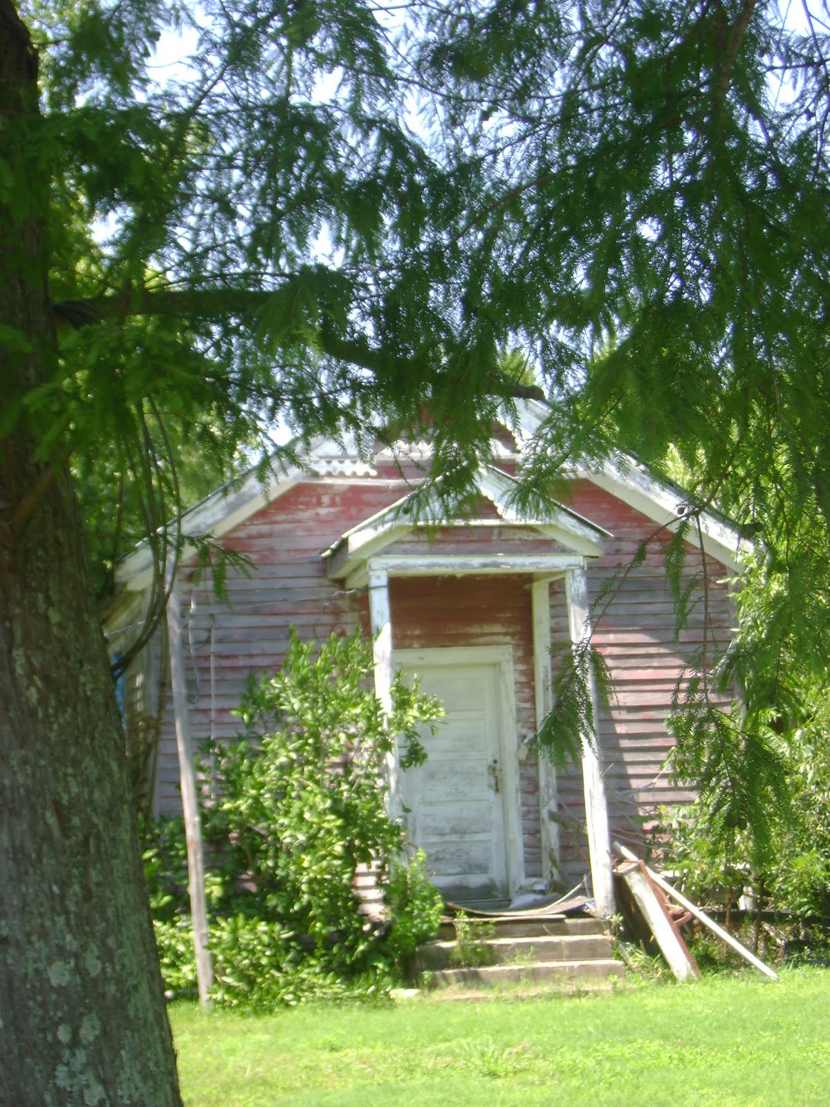 From Rome to Home My life in Mobile, Alabama Belle Fontaine and Isle