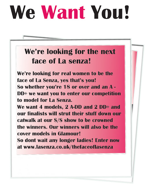 La senza essay picture