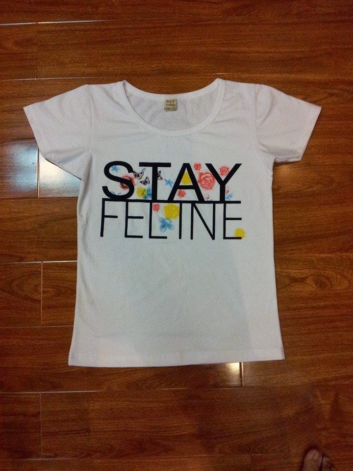 Ao Thun Teen made in VietNam Cotton 4 chiều tại HaiHai Shop Q12 - 6