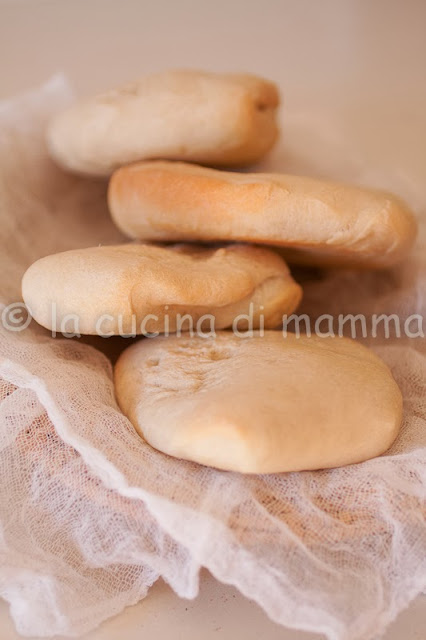 Pane arabo con lievito madre NON rinfrescato