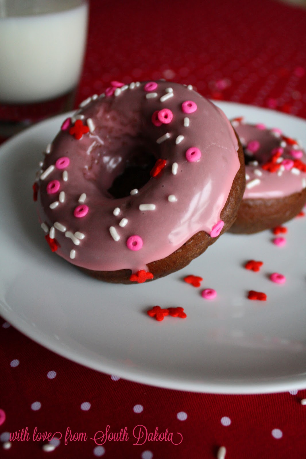 With Love from South Dakota Baked Chocolate Cinnamon Doughnuts