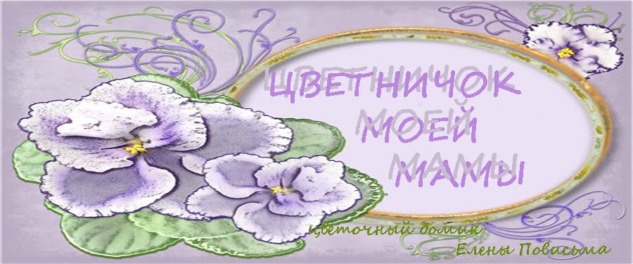 Цветничок моей мамы