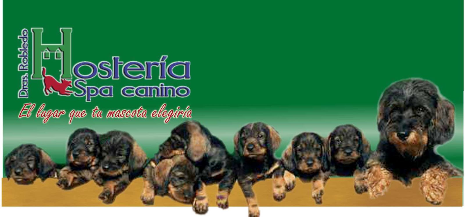 Hostería & Spa canino Dras. Robledo