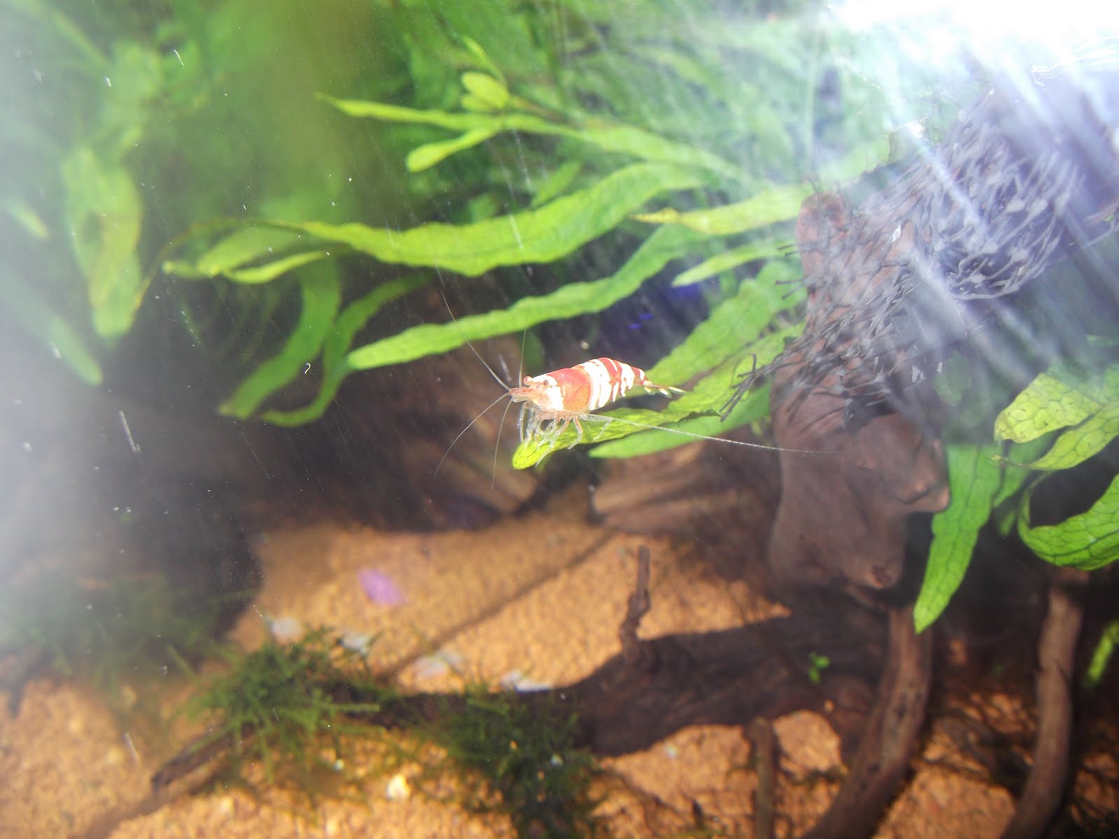 DSCF3879.JPG