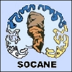 SOCANE - Sociedad Canaria de Neurología