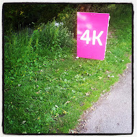 Race For Life, Blackburn, 2013