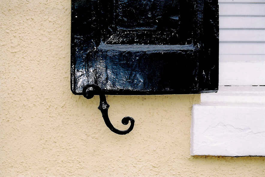 Charleston Photos Shutter Dogs