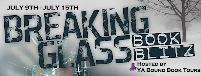 {Excerpt+Giveaway} Breaking Glass by Lisa Amowitz