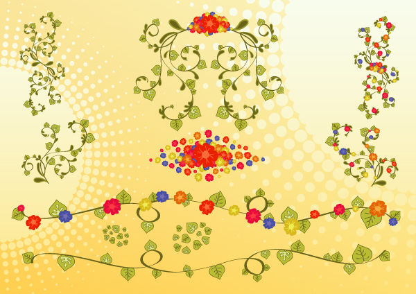Colorful Flowers Footage Card