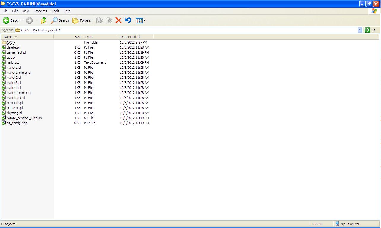 CVS Concurrent version Setup and Testing.