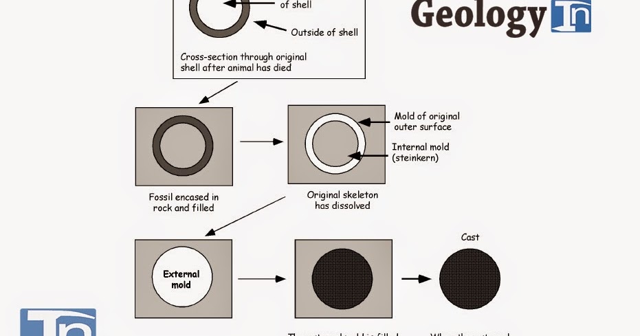 what are two types of dating fossils A specialized form of cross-dating, using animal and plant fossils, type of radioactive dating method dating methods, such as radiocarbon-dating . what are two types of dating fossils A specialized form of cross-dating, using animal and plant fossils, type of radioactive dating method dating methods, such as radiocarbon-dating .