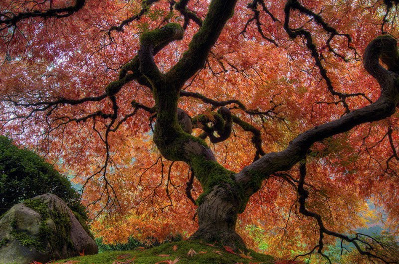 Wonderful garden Geography - 15 Pics | Curious, Funny Photos / Pictures