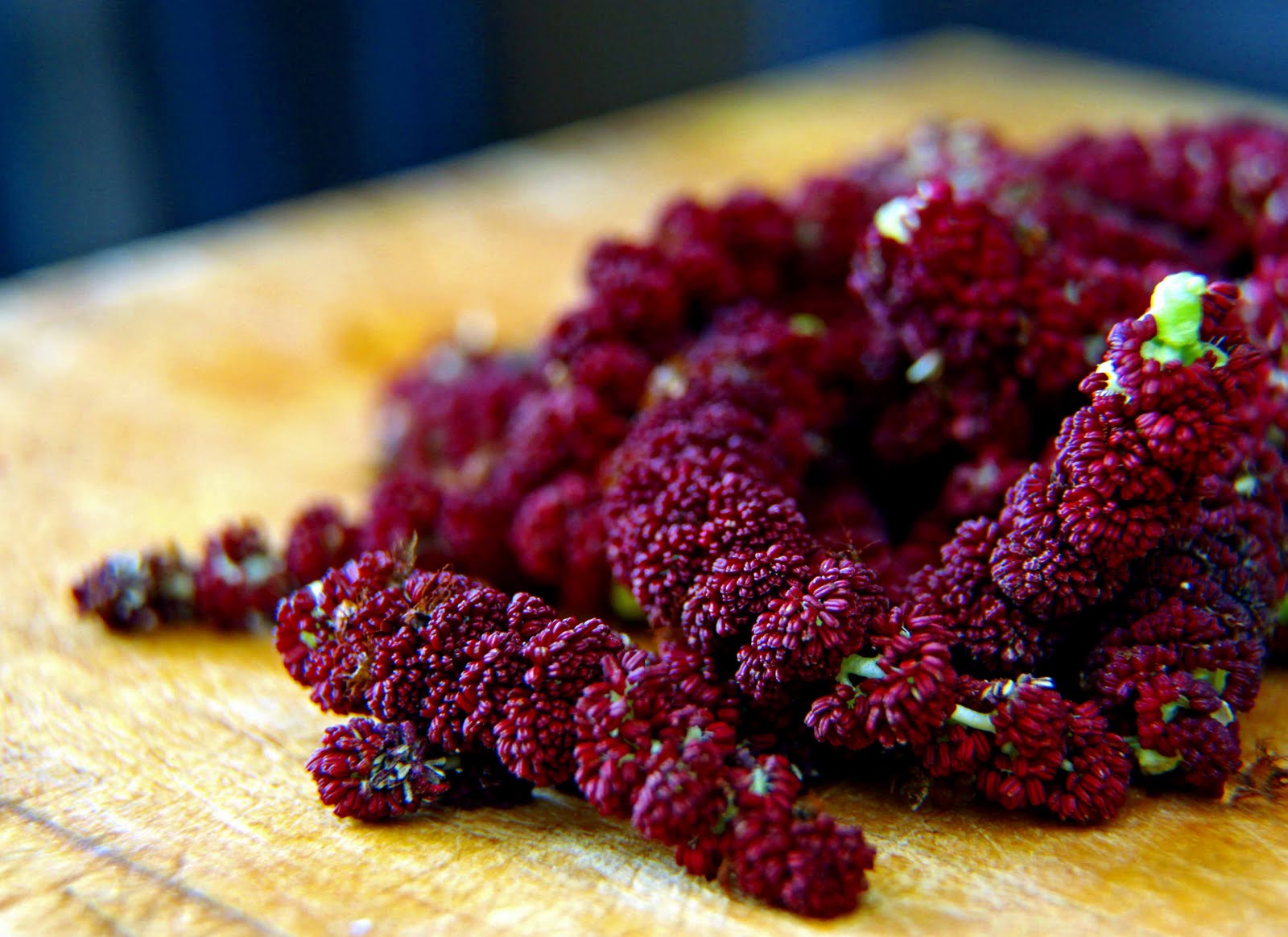 TempuraStyle Cottonwood Catkins