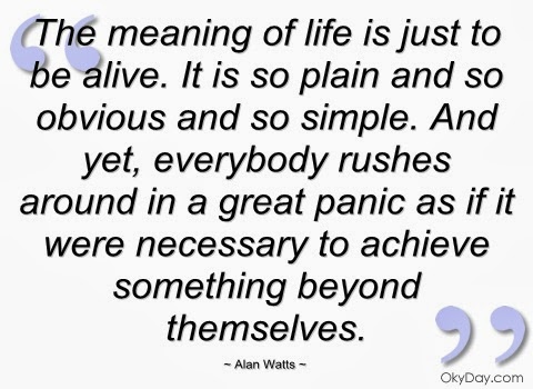 Football Manager 2017 v12 MKDEV- Crack Download and