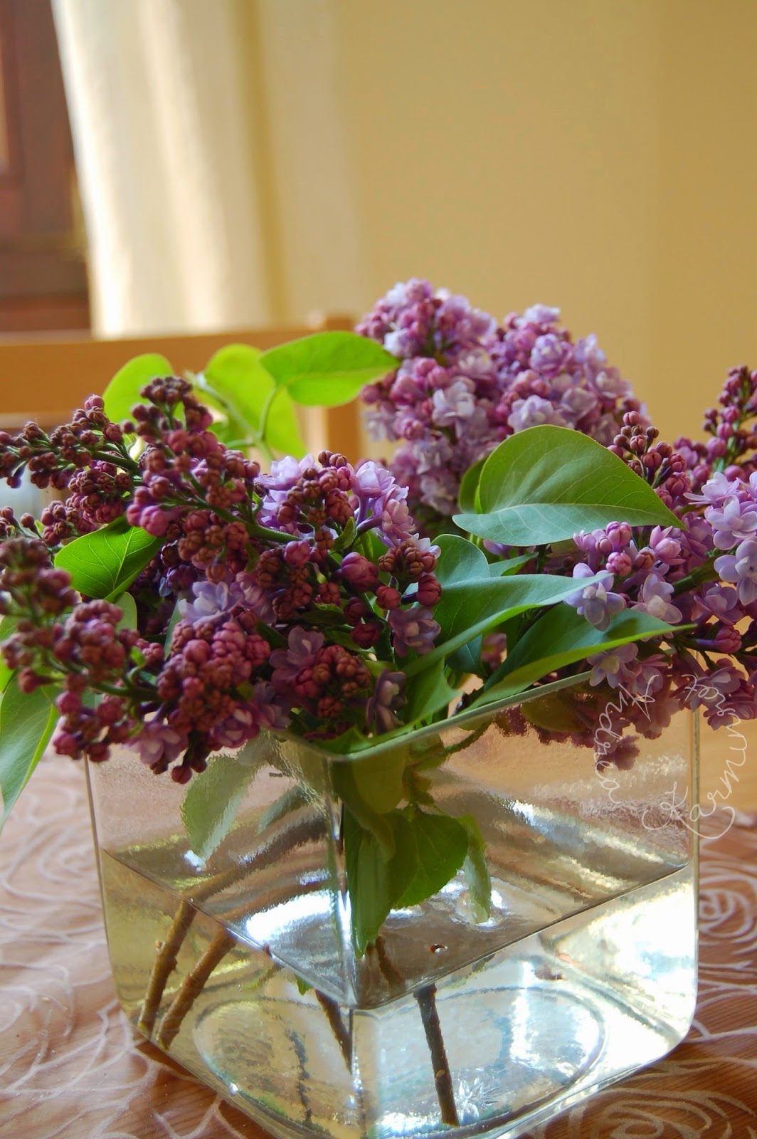 Saras Dekolust September 2018