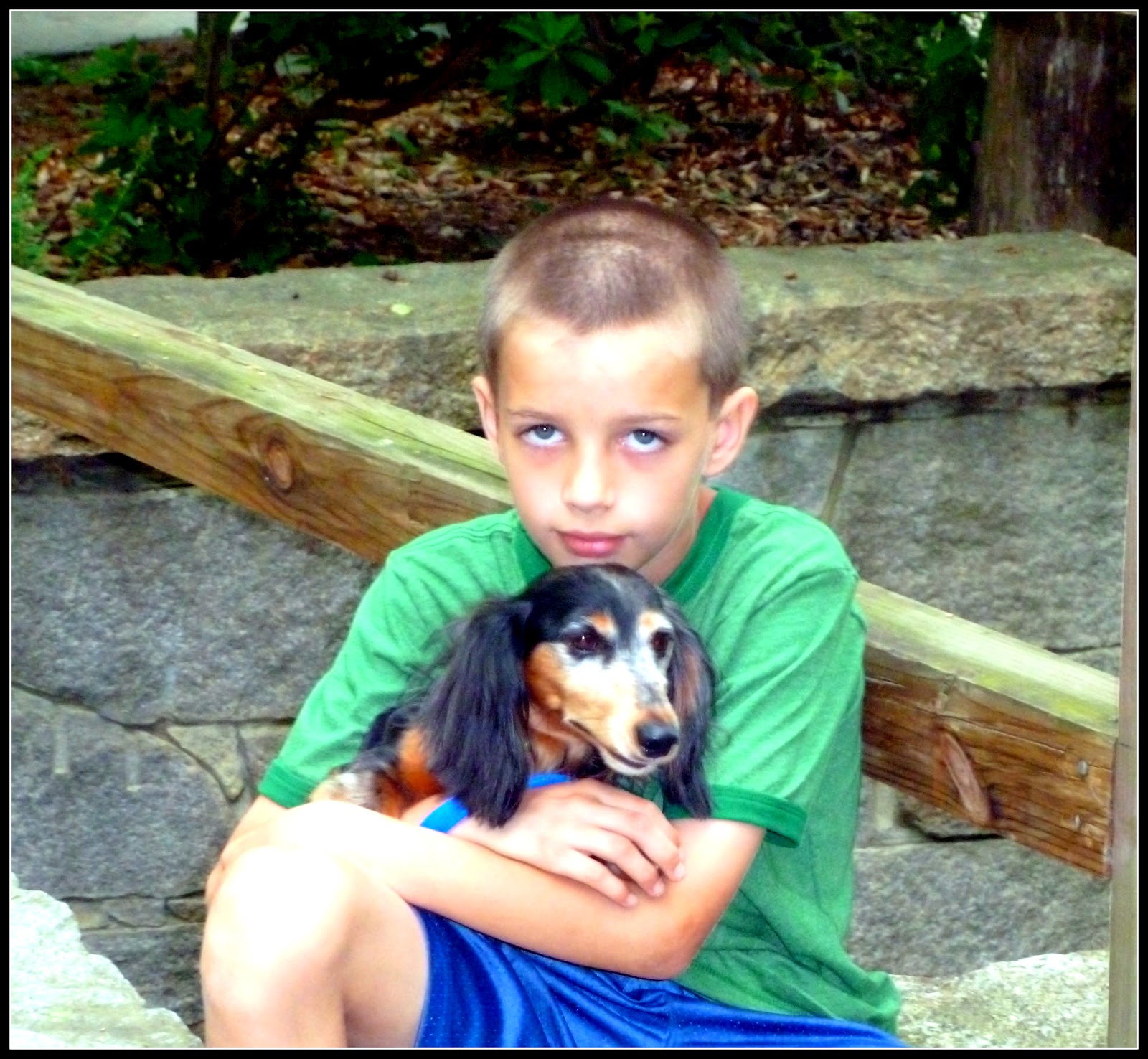 Be Still a Minute...: Walking In A Wiener Wonderland