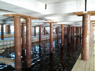 Underside view of the pilings supporting the Bay Head Yacht Club building, Bay Head, New Jersey