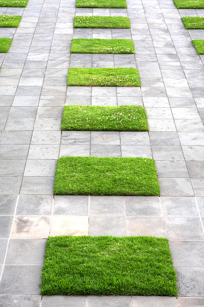 repetition creates serene landscape