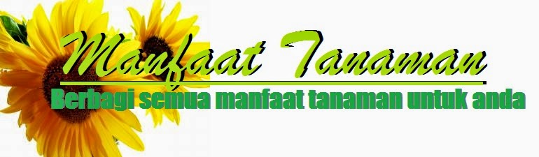 Manfaat Dan Khasiat Tanaman Bagi Kesehatan