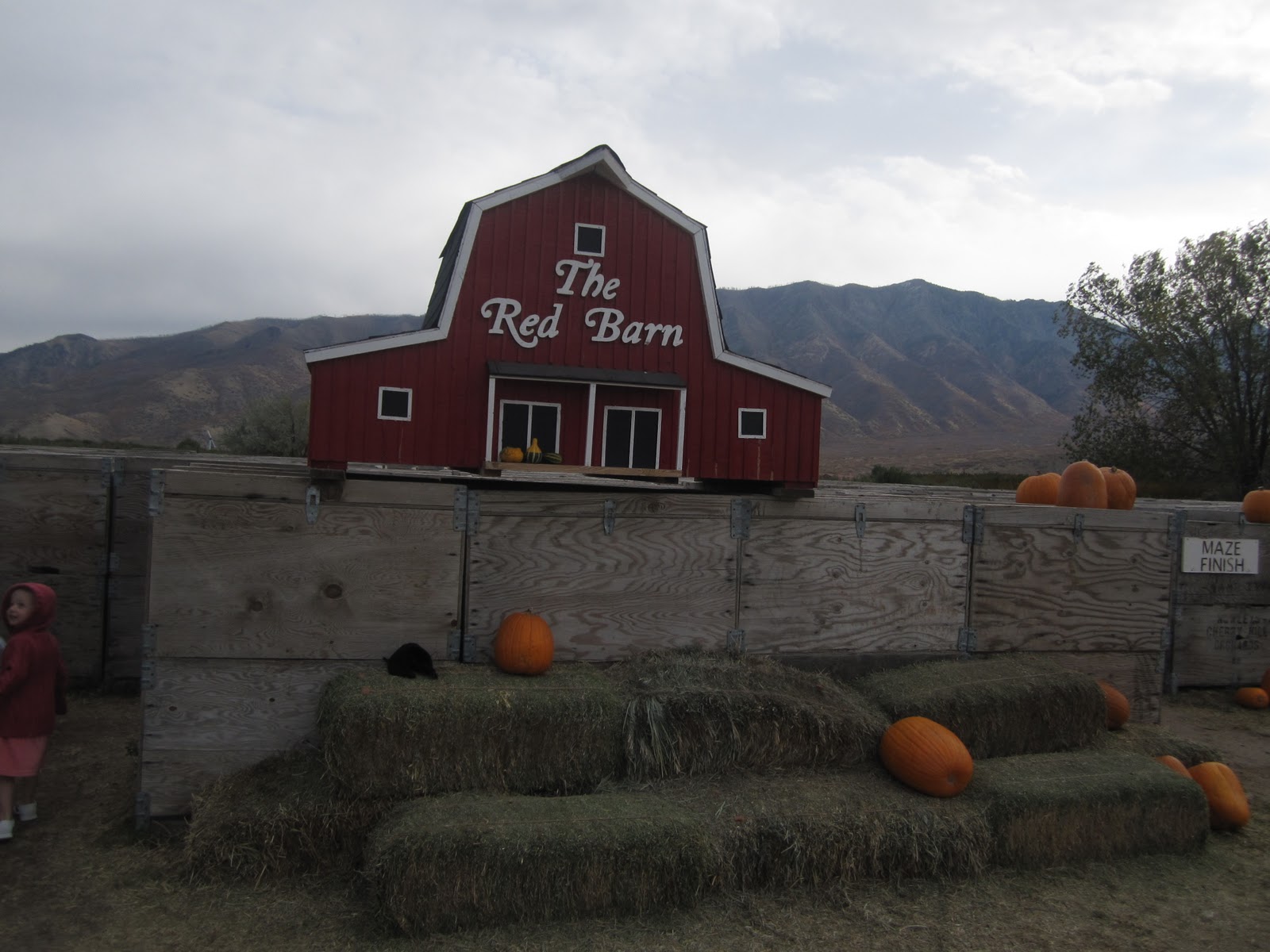Skip School Learn More Big Red Barn Pumpkin Patch